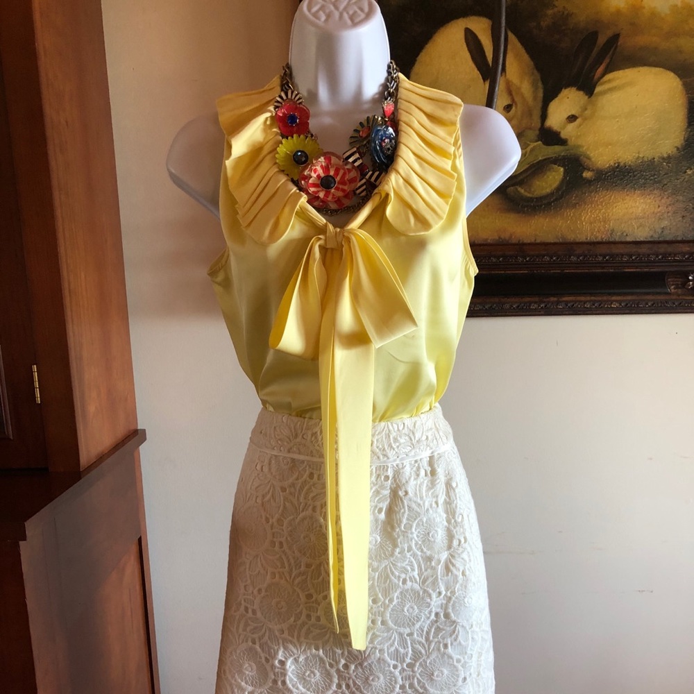 Antonio Melani silk top xs and skirt size 0